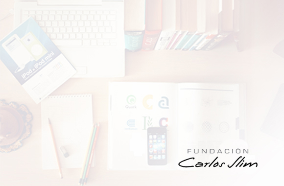 Fundaci&oacute;n Telmex